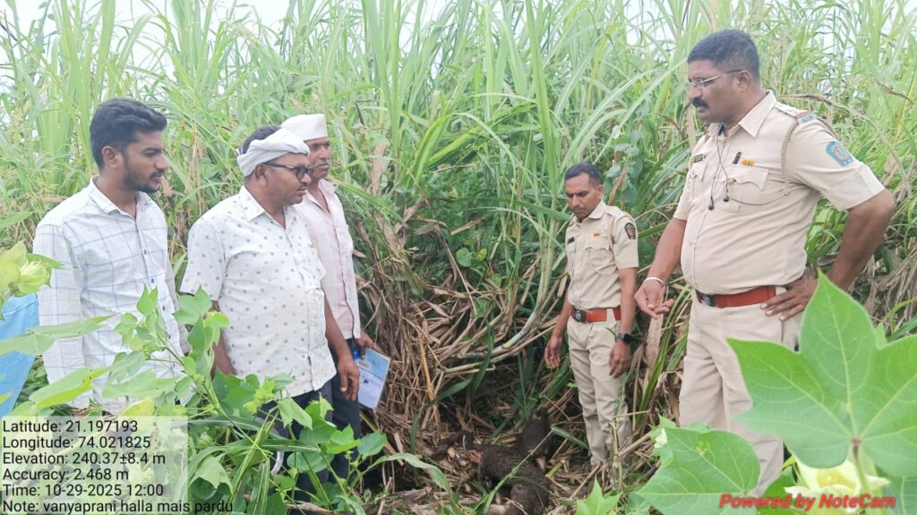 फोटो 2 नवापुर 30 १० २०२५