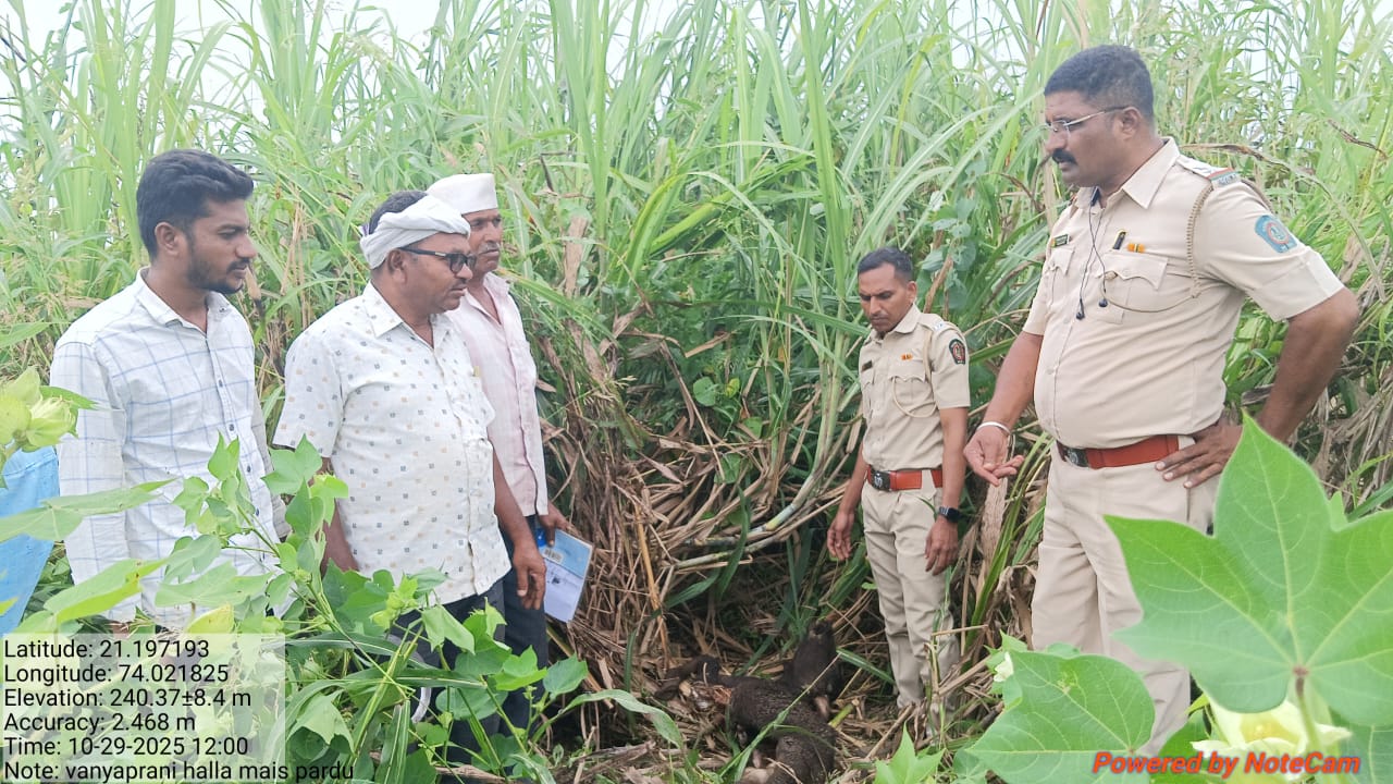 फोटो 2 नवापुर 30 १० २०२५