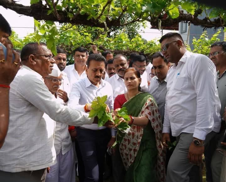दिंडोरी:- अतिवृष्टीग्रस्त द्राक्षबागांच्या पाहणीस पालकमंत्री गिरीष महाजन व डॉ. भारती पवार यांचा दौरा — “सरकार बळीराजाच्या पाठीशी ठामपणे उभे आहे!”( प्रतिनिधी : डॉ. भागवत महाले ):- 🌿