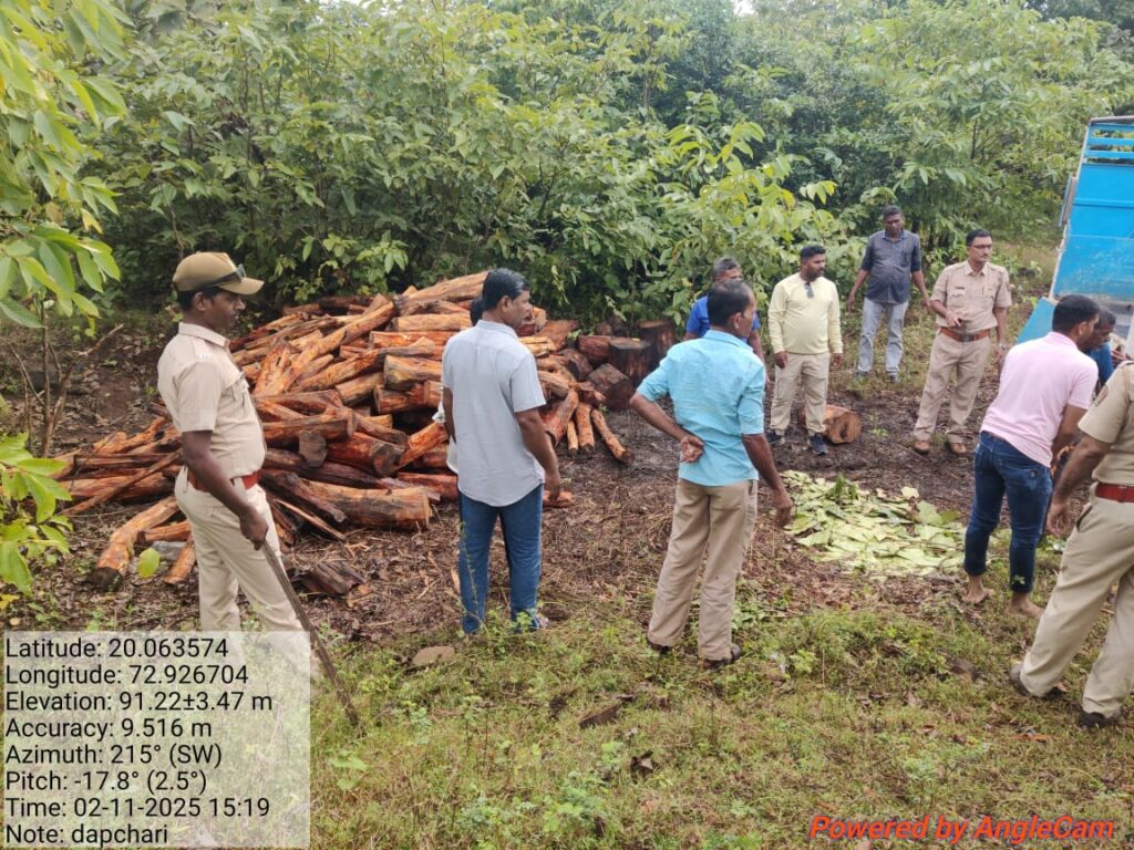 पालघर :- दापचरीत वन विभागाची मोठी कारवाई : गुप्त माहितीवरून दीड लाखांचा अवैध खैर साठा जप्त!पालघर जिल्ह्यात डहाणू वनपरिक्षेत्राचा धडाकेबाज उपक्रम – वनमाफियांना चोख प्रत्युत्तर!- ( प्रतिनिधी – बाळकृष्ण ढोके ) photo 1 palghar 04 11 2025