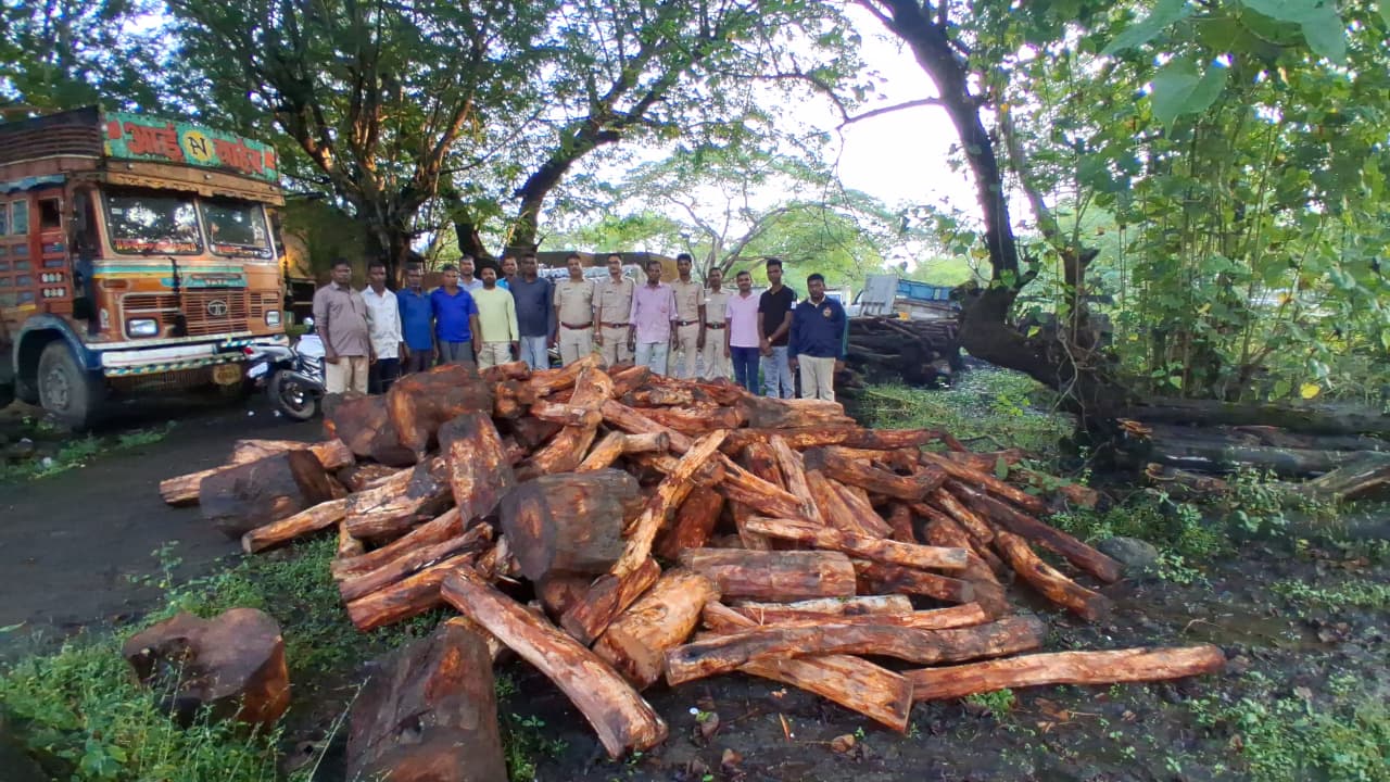 photo 3 palghar 04 11 2025