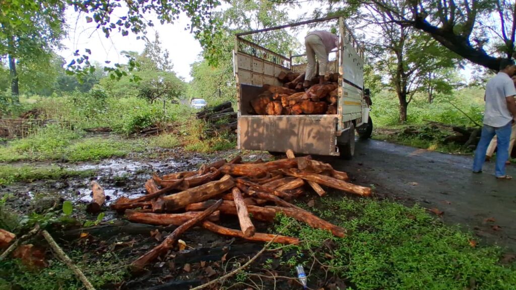 पालघर :- दापचरीत वन विभागाची मोठी कारवाई : गुप्त माहितीवरून दीड लाखांचा अवैध खैर साठा जप्त!पालघर जिल्ह्यात डहाणू वनपरिक्षेत्राचा धडाकेबाज उपक्रम – वनमाफियांना चोख प्रत्युत्तर!- ( प्रतिनिधी – बाळकृष्ण ढोके ) photo= 4 palghar 04 11 2025