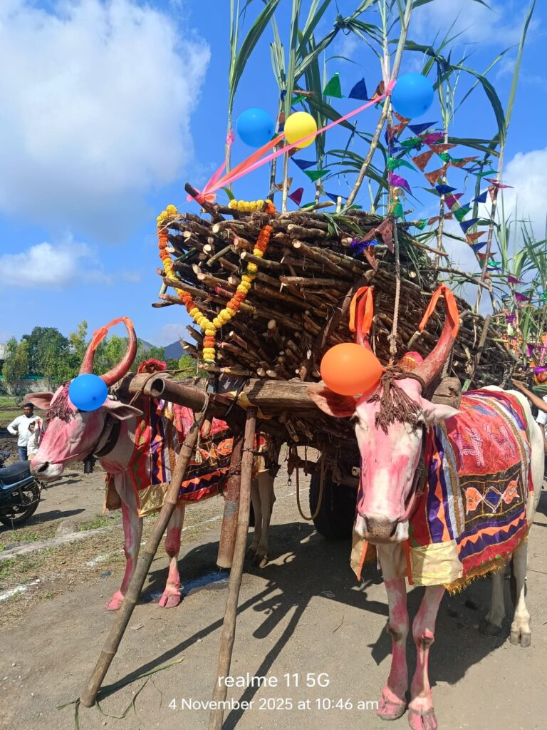अंतापुर,(सटाणा ) :- द्वारकाधीश साखर कारखान्याचा '२६ वा' गळीत हंगाम उत्साहात सुरू ; ऊस उत्पादकांसाठी शाश्वत विकासाचे आवाहन - प्रतिनिधी – अरुणकुमार भामरे) फोटो 6 अंतापूर ०५ ११ २०२५