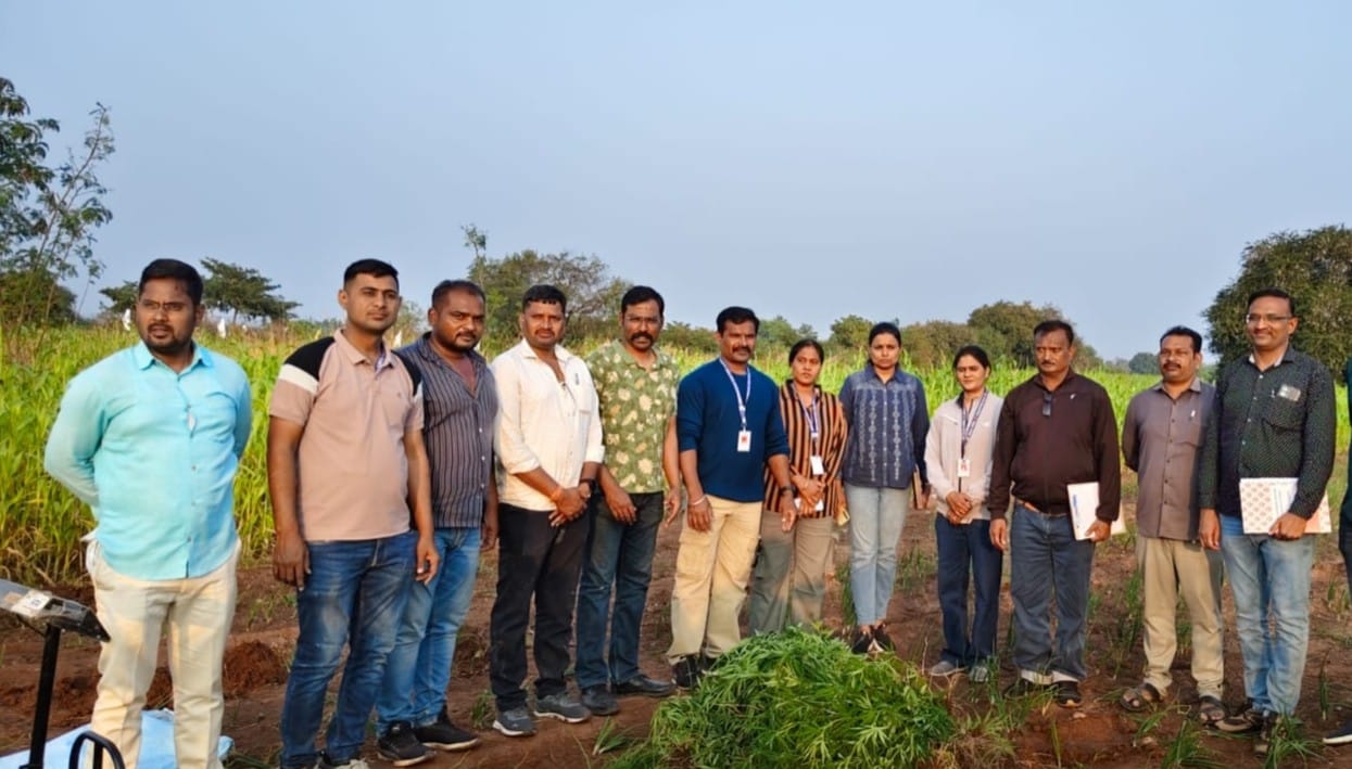 येडशी  (जि. धाराशिव):-देवळाली येथे गांजा लागवड करणाऱ्या इसमावर अमली पदार्थ विरोधी टास्क फोर्सची मोठी कारवाई-(प्रतिनिधी : सुभान शेख)