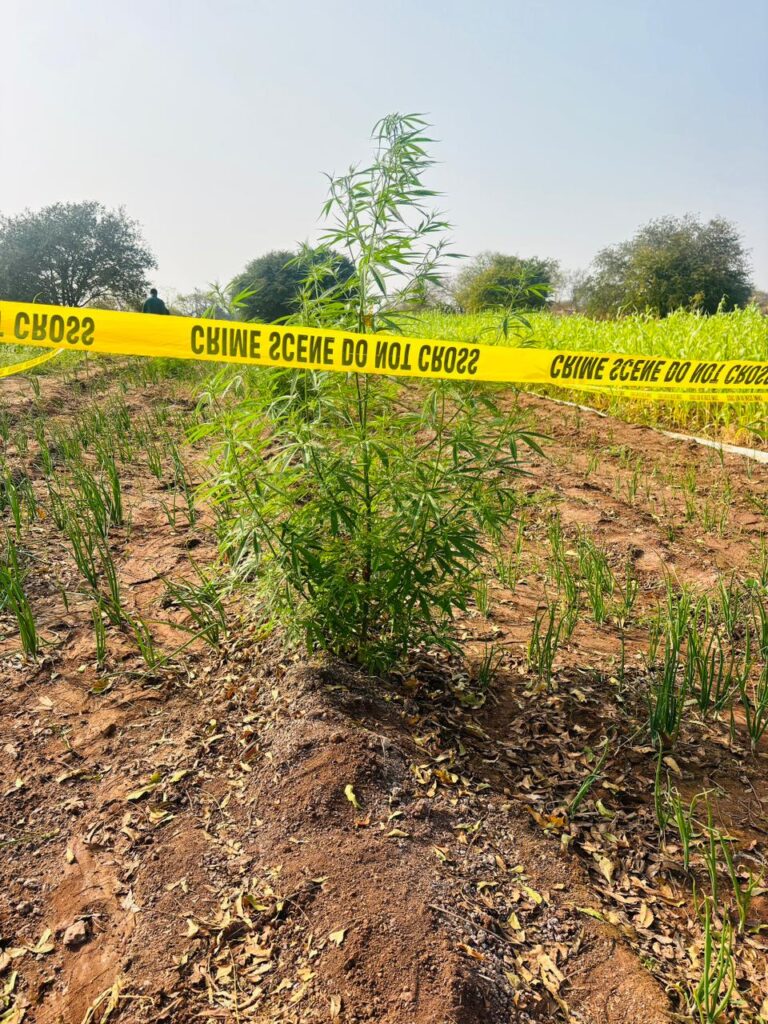 photo 2 yedshi 24 01 2026