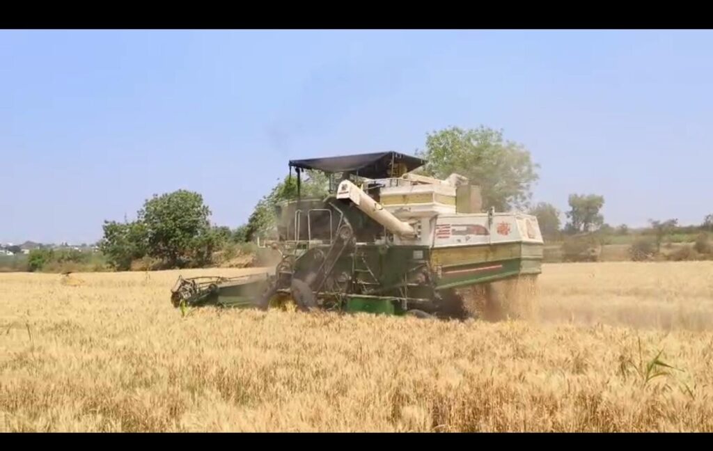 गहू कापणी यंत्रांच्या वाढत्या वापरामुळे मजुरांचे रोजगार धोक्यात; ग्रामीण भागात उपासमारीची भीती, शासनाकडे मदतीची मागणी- whatsapp image 2026 03 16 at 4.04.16 pm